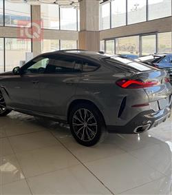 بی ئێم دەبڵیو X6